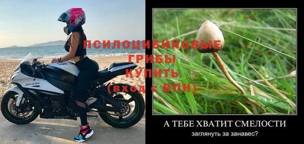 прущие крисы Абаза